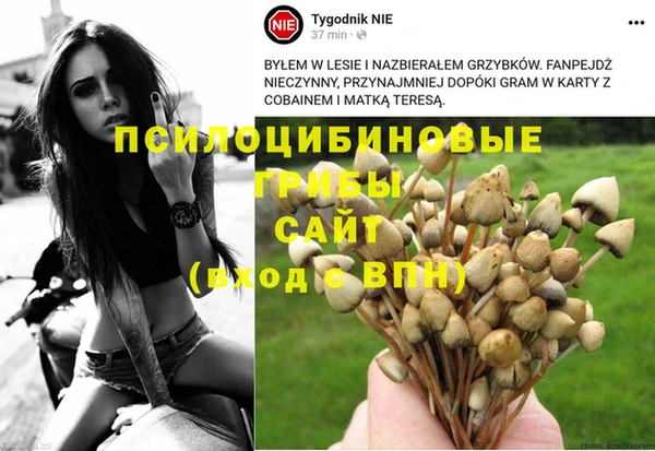 таблы Инсар