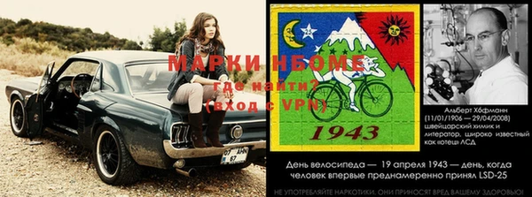 спайс Инта