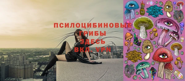 таблы Инсар