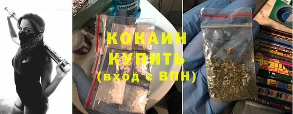 спайс Инта