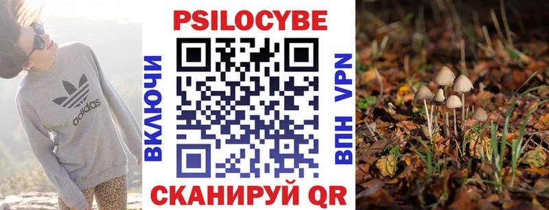 mega ССЫЛКА  Каргополь  мориарти формула  Галлюциногенные грибы Cubensis 